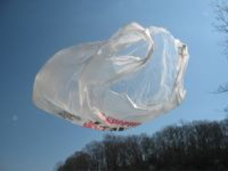 plastic-bag-litter